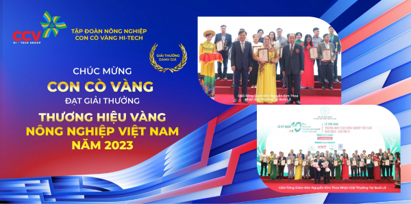 Tập Đoàn Nông Nghiệp Con Cò Vàng đạt “Thương Hiệu Vàng Nông Nghiệp Việt Nam Năm 2023”