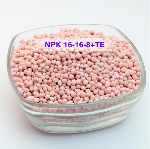 NPK 16-16-8+TE (Ruby Ferti)
